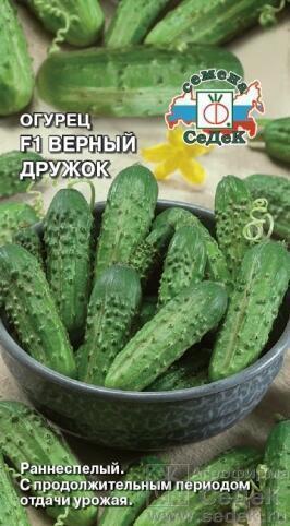 Купить оптом в Ботанике семена Огурец Верный дружок F1 Сед бренд СеДеК