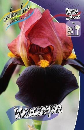 Купить оптом в Ботанике Ирис Момакуин 1 шт