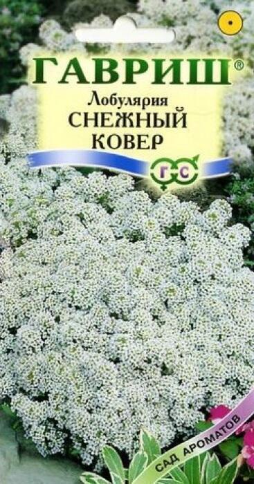 Купить оптом в Ботанике семена Лобулярия (алиссум) Снежный ковер Гав бренд Гавриш