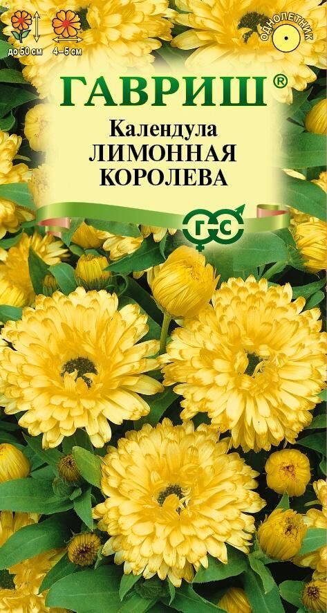 Купить оптом в Ботанике семена Календула Лимонная королева Гав бренд Гавриш