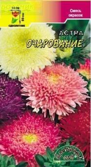 Купить оптом в Ботанике семена Астра Очарование смесь ЦС бренд Цветущий Сад