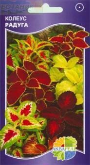 Купить оптом в Ботанике семена Колеус Радуга смесь Акв бренд Акварель