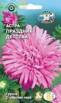 Купить оптом в Ботанике семена Астра Праздник детства Сед бренд СеДеК