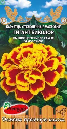Купить оптом в Ботанике семена Бархатцы Гигант биколор отклоненные ПС бренд Премиум Сидс