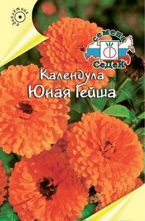 Купить оптом в Ботанике семена Календула Юная гейша Сед бренд СеДеК