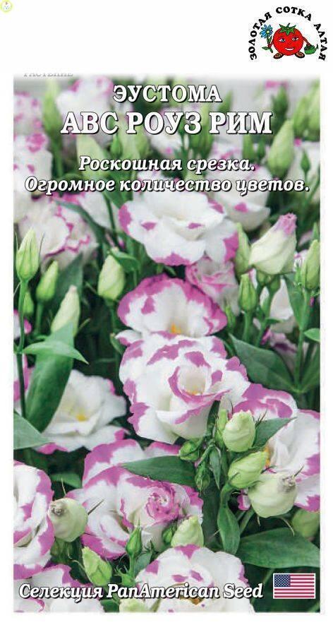 Купить оптом в Ботанике семена Эустома АВС Роуз Рим ЗС бренд Золотая сотка