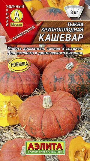 Купить оптом в Ботанике семена Тыква Кашевар Аэл бренд Аэлита