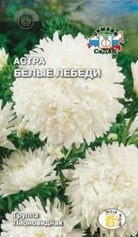 Купить оптом в Ботанике семена Астра Белые лебеди Сед бренд СеДеК