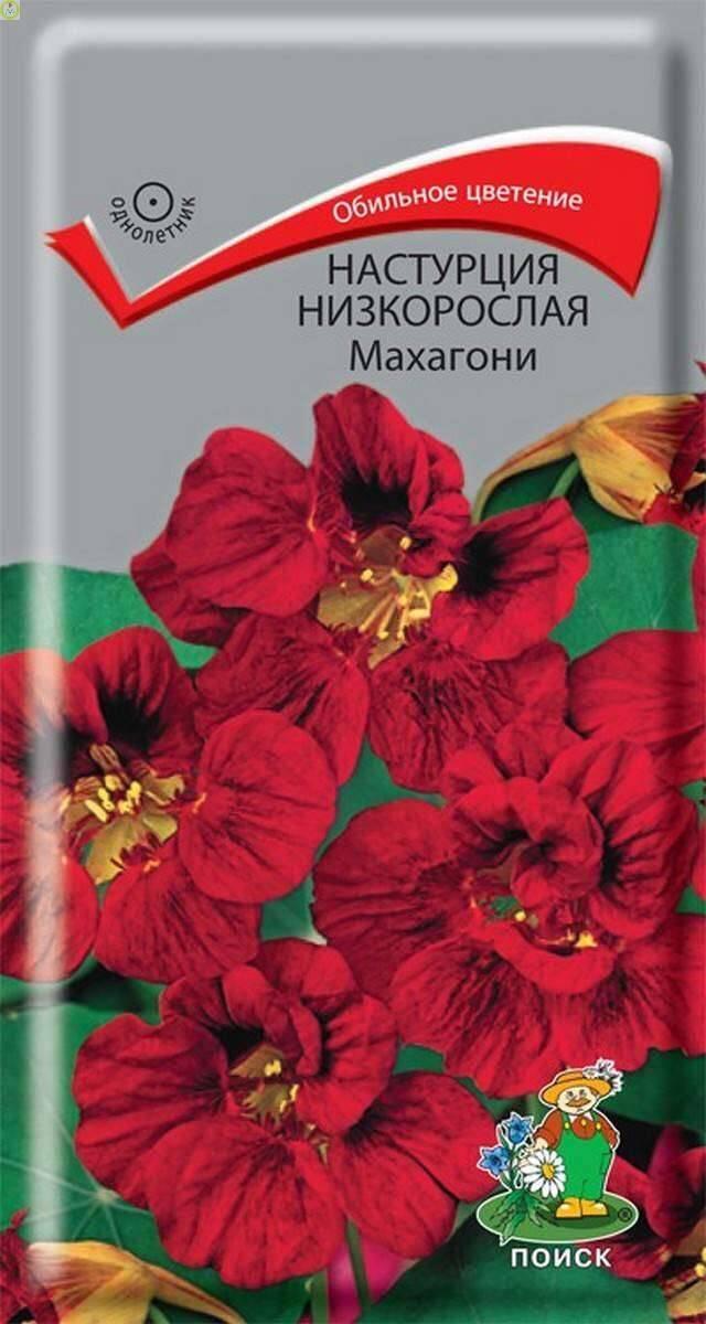 Купить оптом в Ботанике семена Настурция Махагони Поиск бренд Поиск