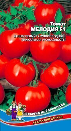 Купить оптом в Ботанике семена Томат Мелодия F1 УД бренд Уральский дачник