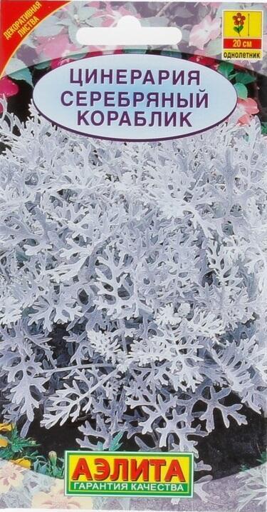 Купить оптом в Ботанике семена Цинерария Серебряный кораблик Аэл бренд Аэлита