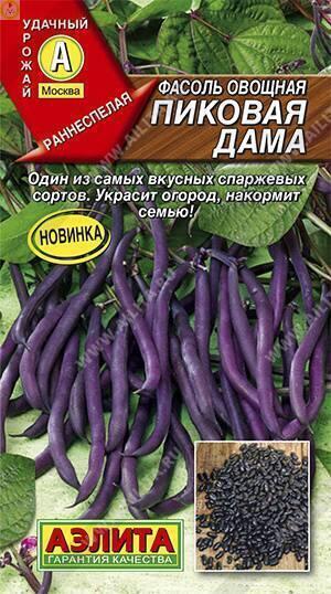 Купить оптом в Ботанике семена Фасоль Пиковая дама овощная Аэл бренд Аэлита