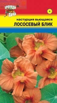 Купить оптом в Ботанике семена Настурция Лососевый блик УУ бренд Урожай Удачи