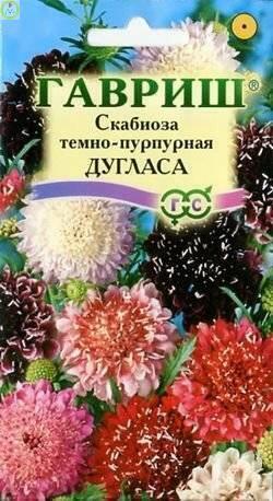 Купить оптом в Ботанике семена Скабиоза Темно-пурпурная смесь Гав бренд Гавриш