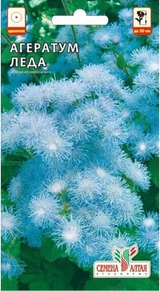 Купить оптом в Ботанике семена Агератум Леда СА бренд Семена Алтая