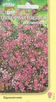 Купить оптом в Ботанике семена Гипсофила Малиновая изящная УУ бренд Урожай Удачи