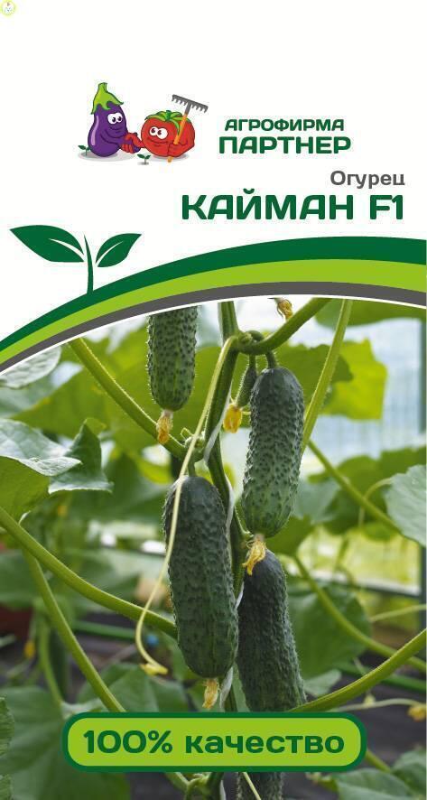 Купить оптом в Ботанике семена Огурец Кайман F1 Пар бренд Партнер