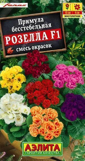 Купить оптом в Ботанике семена Примула Розелла F1, смесь Аэл бренд Аэлита