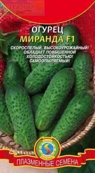 Купить оптом в Ботанике семена Огурец Миранда F1 Плз бренд Плазмас
