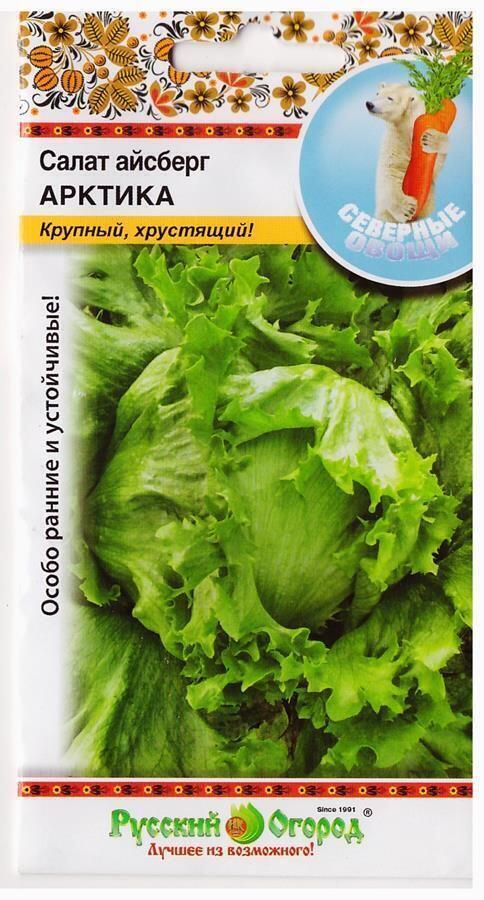 Купить оптом в Ботанике семена Салат Арктика кочанный айсберг НК бренд НК
