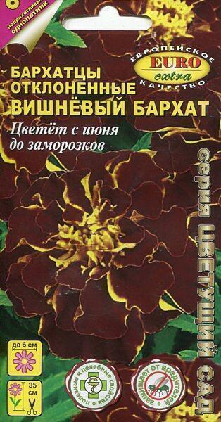 Купить оптом в Ботанике семена Бархатцы Вишневый бархат Аэл бренд Аэлита