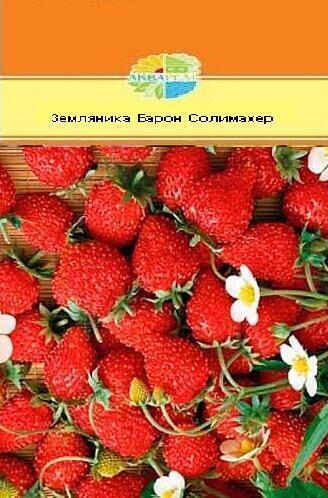 Купить оптом в Ботанике семена Земляника Барон Солимахер Акв бренд Акварель