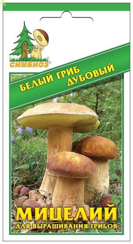 Купить оптом в Ботанике семена Белый гриб дубовый Сим бренд НПМЛ СИМБИОЗ