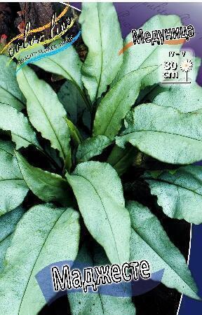 Купить оптом в Ботанике Медуница Маджесте 1 шт