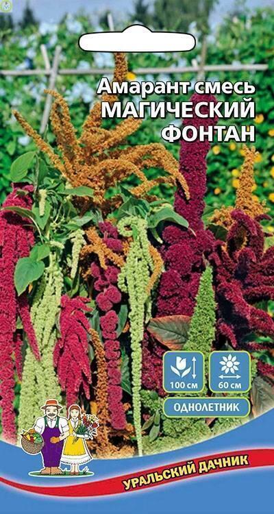 Купить оптом в Ботанике семена Амарант Магический Фонтан смесь УД бренд Уральский дачник