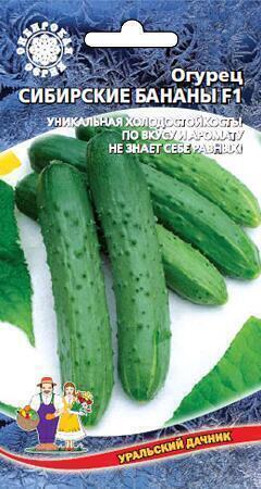 Купить оптом в Ботанике семена Огурец Сибирские бананы F1  УД бренд Уральский дачник