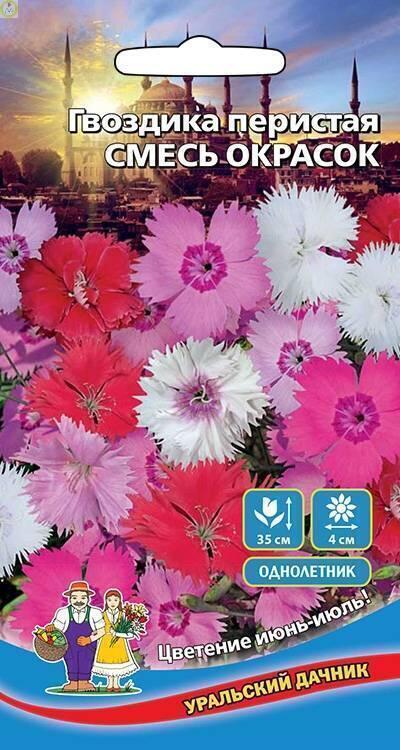 Купить оптом в Ботанике семена Гвоздика перистая Смесь окрасок УД бренд Уральский дачник