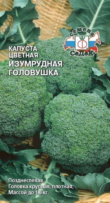 Купить оптом в Ботанике семена Капуста цветная Изумрудная головушка Сед бренд СеДеК
