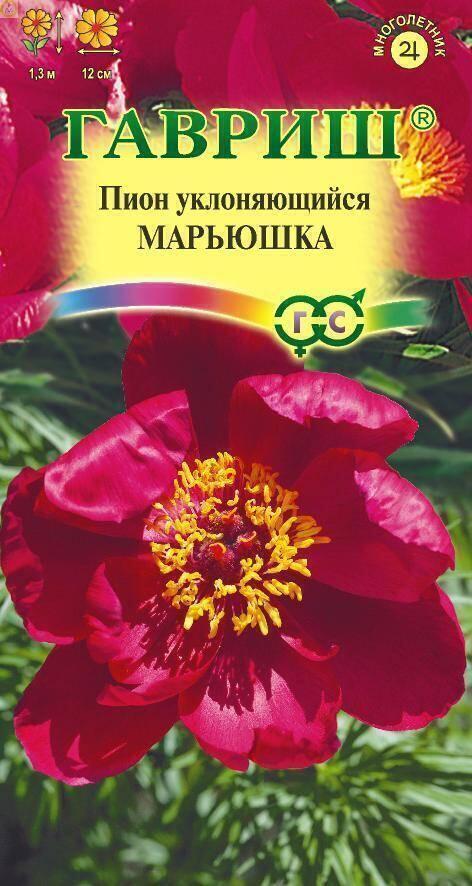 Купить оптом в Ботанике семена Пион Марьюшка уклоняющийся Гав бренд Гавриш