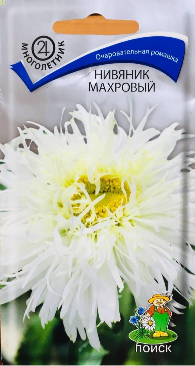 Купить оптом в Ботанике семена Нивяник махровый Поиск бренд Поиск