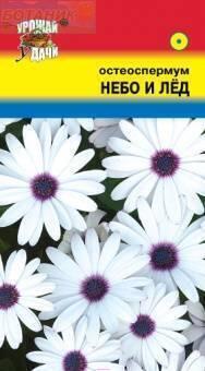 Купить оптом в Ботанике семена Остеоспермум Небо и лед УУ бренд Урожай Удачи