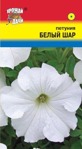 Купить оптом в Ботанике семена Петуния Белый шар УУ бренд Урожай Удачи