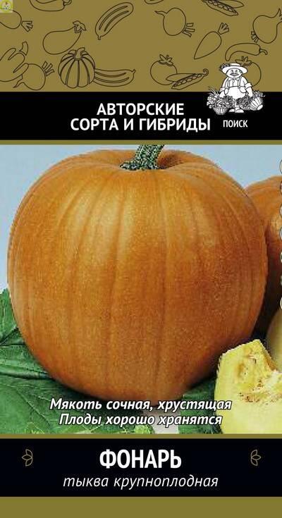 Купить оптом в Ботанике семена Тыква Фонарь Поиск бренд Поиск