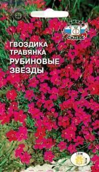 Купить оптом в Ботанике семена Гвоздика травянка Рубиновые звезды Сед бренд СеДеК