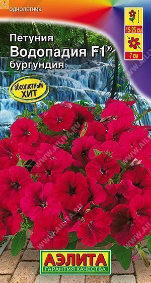 Купить оптом в Ботанике семена Петуния Водопадия бургундия F1 Аэл бренд Аэлита