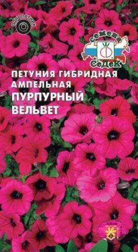 Купить оптом в Ботанике семена Сурфиния Пурпурный вельвет F1 Сед бренд СеДеК