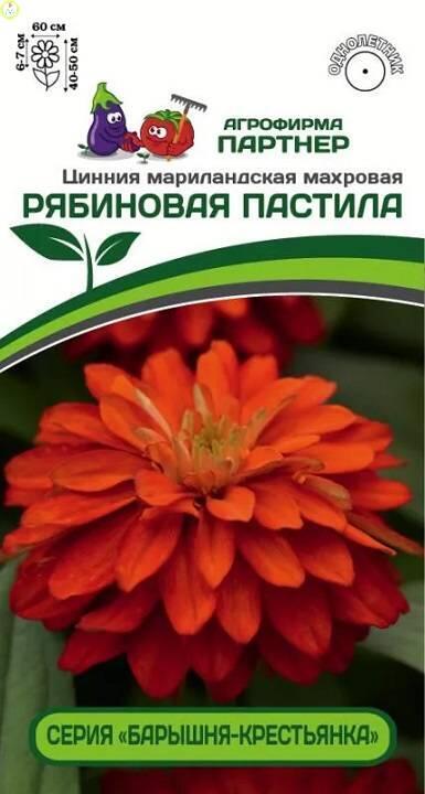 Купить оптом в Ботанике семена Цинния Рябиновая пастила Пар бренд Партнер