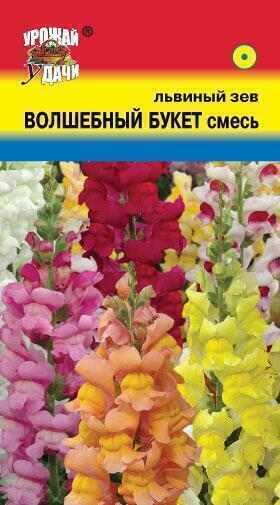 Купить оптом в Ботанике семена Львиный зев Волшебный букет УУ бренд Урожай Удачи