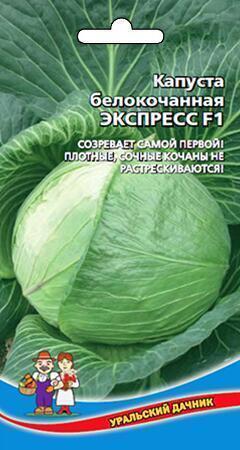 Купить оптом в Ботанике семена Капуста белокочанная Экспресс F1 УД бренд Уральский дачник