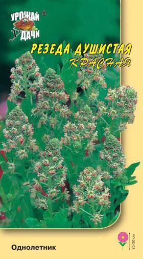 Купить оптом в Ботанике семена Резеда Душистая красная УУ бренд Урожай Удачи