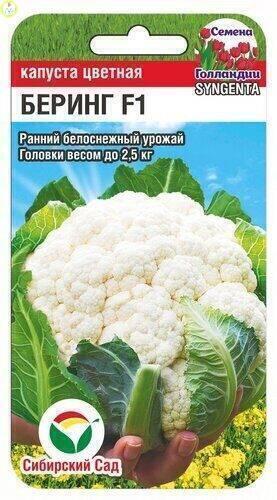 Купить оптом в Ботанике семена Капуста цветная Беринг F1 СС бренд Сиб.сад