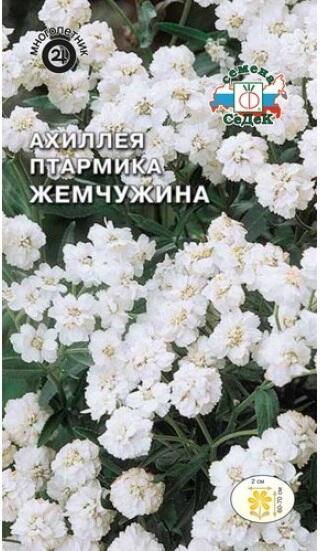 Купить оптом в Ботанике семена Ахиллея Жемчужина Сед бренд СеДеК