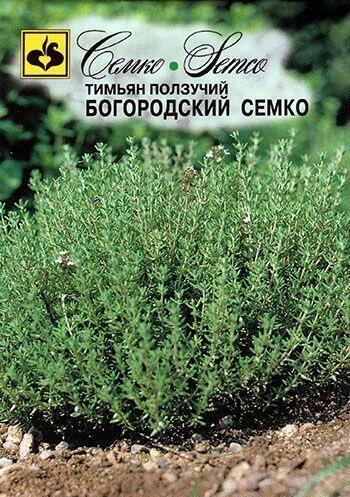Купить оптом в Ботанике семена Тимьян Богородский Сем бренд Семко