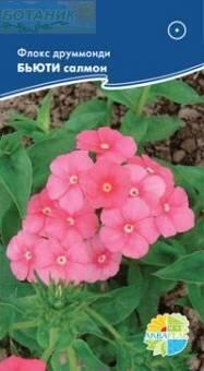 Купить оптом в Ботанике семена Флокс Бьюти салмон Акв бренд Акварель