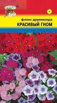 Купить оптом в Ботанике семена Флокс Красивый гном УУ бренд Урожай Удачи