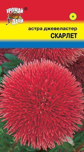 Купить оптом в Ботанике семена Астра Джевеластер Скарлет УУ бренд Урожай Удачи